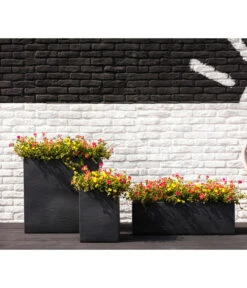 Portulakröschen 16 Portulakröschen -Gardena Store 8817199 8827271 WE MO 001 PortulacaT11Portulakroeschen