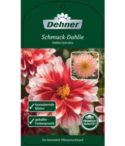 Dehner Premium Dahlie -Gardena Store 8822462 Schmuck Dahlie Etikett 1