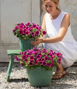 Dehner Keramik-Topf Rhodos, Rund, Blau-grün 12 Dehner Keramik-Topf Rhodos, Rund, Blau-grün -Gardena Store 8824021 4273900 4273918 4273934 WE MO 001 HaengepetuniePicoteeT12 CrossSellTeaser