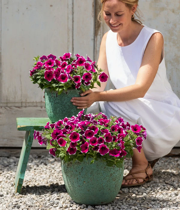 Dehner Keramik-Topf Rhodos, Rund, Blau-grün 7 Dehner Keramik-Topf Rhodos, Rund, Blau-grün – Bild 5