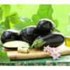 Dehner Gourmet Garten Aubergine, Veredelt -Gardena Store 8830051 PR MO 001 GG AUBERGINE CARMEN
