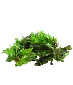 Bio Asia Wildkräuter Im Pottburri®-Topf 9 Bio Asia Wildkräuter Im Pottburri®-Topf -Gardena Store 8830473 WE DE 002 BioPBAsiaWildkraeuter