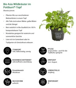 Bio Asia Wildkräuter Im Pottburri®-Topf 8 Bio Asia Wildkräuter Im Pottburri®-Topf -Gardena Store 8830473 WE IG 001 BioAsiaWildkraeuterimPottburriTopf