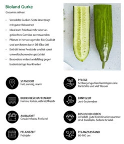Bioland Gurke, Veredelt 13 Bioland Gurke, Veredelt -Gardena Store 8830853 WE IG 001 BiolandGurke