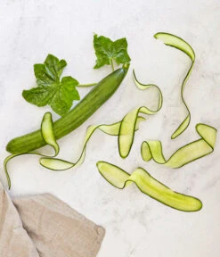 Bioland Gurke, Veredelt 11 Bioland Gurke, Veredelt -Gardena Store 8830853 WE MO 001 SchlangengurkeveredeltRenner