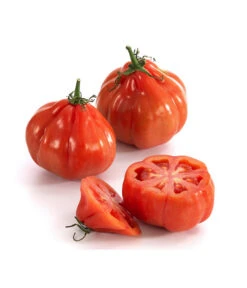 Ochsenherztomate 'Fleurette' 9 Ochsenherztomate 'Fleurette' -Gardena Store 8832883 WE DE 001 Ochsenherztomate