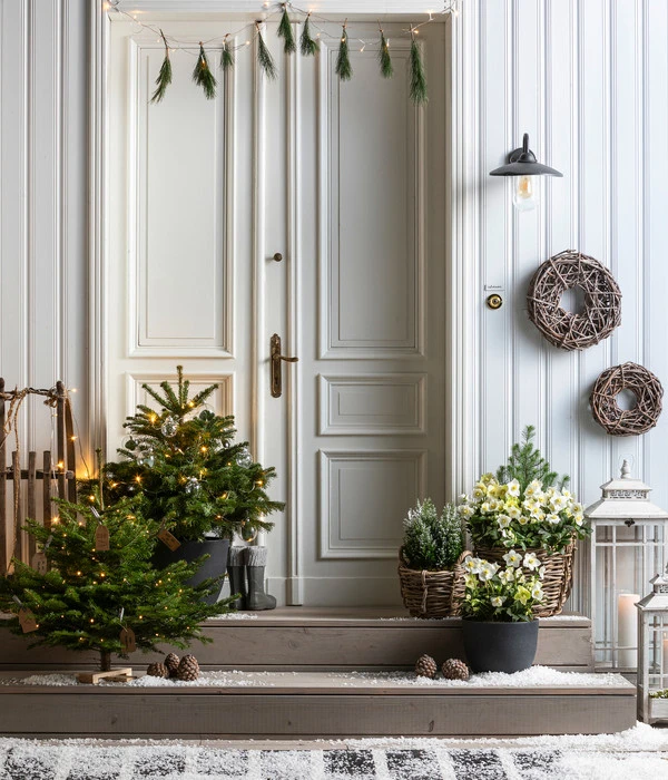 Dehner Kranz Weinrebe Frost, Ca. Ø48 Cm 5 Dehner Kranz Weinrebe Frost, Ca. Ø48 Cm – Bild 3