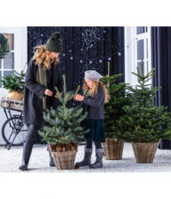 Stech-Fichte, Ca. 80-100 Cm, Im Topf Gewachsen -Gardena Store 8997504 WE MO 001 PiceaPungens60bis80cm GC19 2021