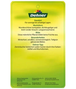 Stechpalme 'Heckenstar' 9 Stechpalme 'Heckenstar' -Gardena Store AmerikanischerIlexHeckenstar Etikett 2