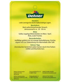 Kornelkirsche - Cornus Mas -Gardena Store KornelkirscheCornusmas Etikett 2