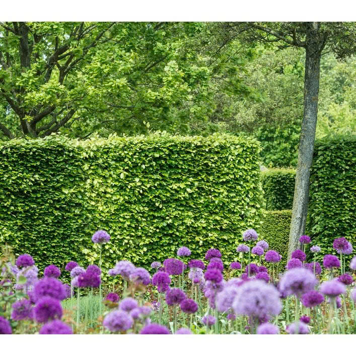 Gardena Store -Gardena Store z6618777483368 6b97bf560c2eed2342a7709a231432b1