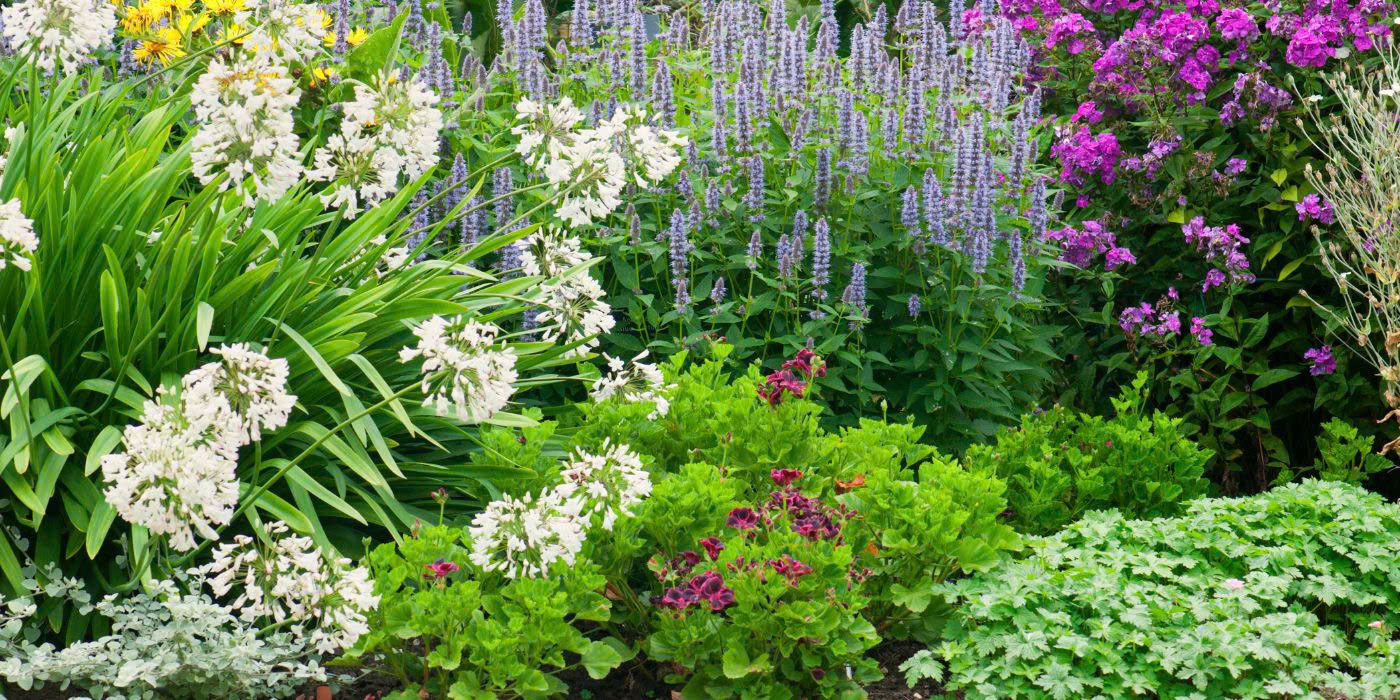 Gardena Store -Gardena Store z6618838856923 519a532c109bbeb4681af156b35892f2